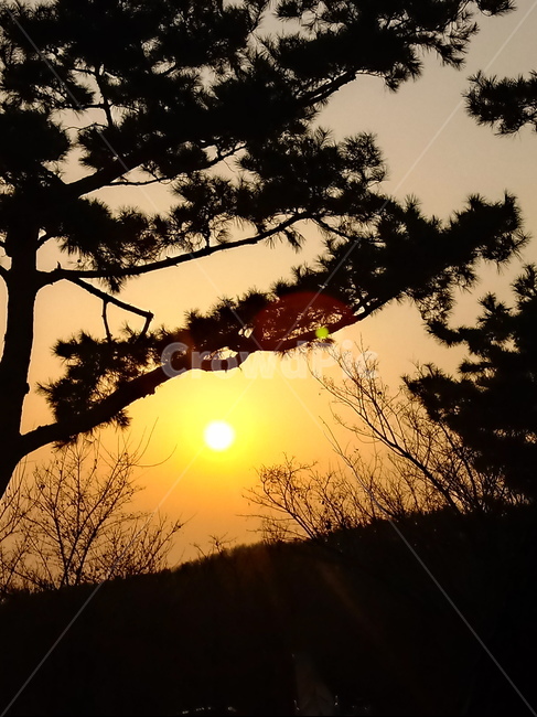 일몰,햇빛,석양,자연,옥외,빛,outdoors,nature,light,sunlight,붉은하늘,황혼,sunset