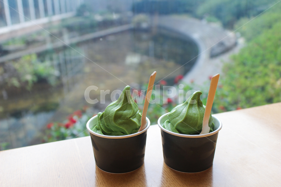 녹차아이스크림,녹차,그린티,커플,아이스크림,greentea,데이트,녹색,green,카페,cafe,연못,야외,시원한,맛있는,깔끔한,초록색,디저트,간식,후식,dessert,snack