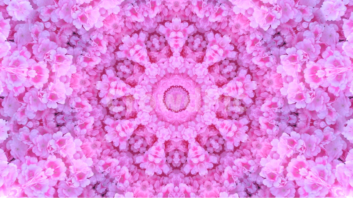 패턴,기하학,추상,360도,배경,환상적,background,wallpaper,색감,색상,아름다운,artistic,칼라풀,예쁜,모던,morden,백그라운드,디자인,graphic,design,art,feeling,emotion,sensibility,colorful,분위기,필링,그래픽,라인,컨셉,디자인소스,화려한,아트,샤프한,웹,느낌,효과,웨이브,꽃무늬,핑크색,분홍색,pink,꽃,flower,텍스처,질감,패턴,texture,pattern