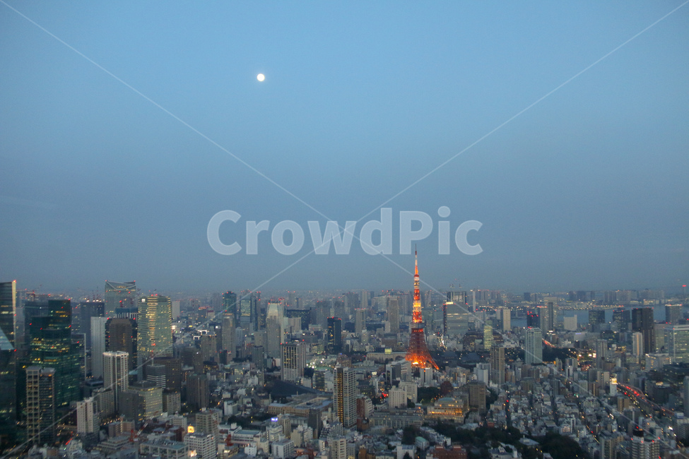 도쿄타워,달,경치,도쿄,일본,빌딩,도시,도시,풍경,city,landscape,랜드마크,landmark,tourist attraction,해외,외국,세계,foreign,oversea,world,세계도시풍경,해외도시풍경,외국도시풍경,world cityscape,세계랜드마크,해외랜드마크,외국랜드마크,world landmark,world tourist attraction,outdoors,옥외,nature,자연,scenery,town,urban,어반,시티,building,건물,metropolis,중심지