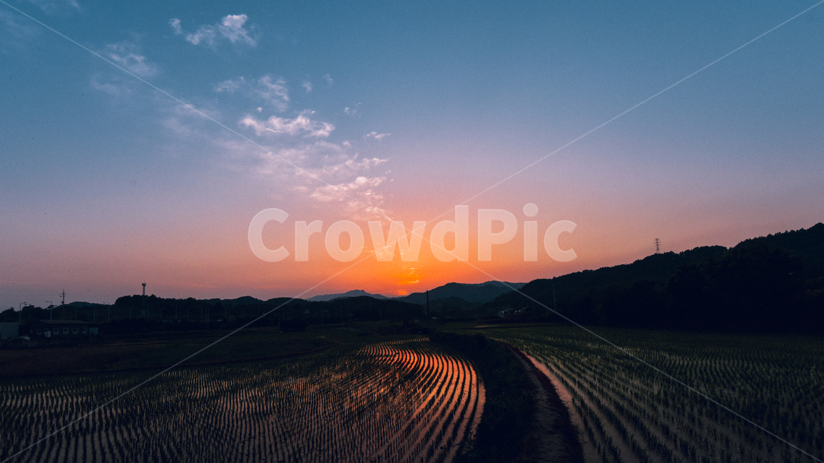 노을,석양,하늘,논,풍경,sunset,evening,sky,landscape,ricefield,저녁노을,자연,농촌,nature