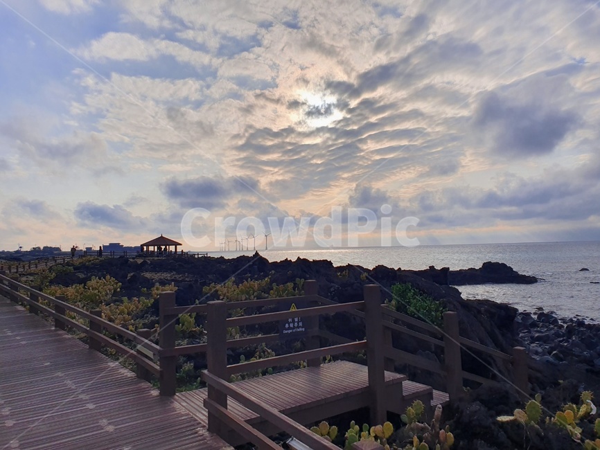 선인장,선인장군락지,푸른바다,제주도,제주도바다,파란하늘,자연,바다,sea,water,nature,ocean,물,outdoors,옥외,곶,갈대,바람,하늘,구름,풍경,바다풍경,난간,이끼,월령리