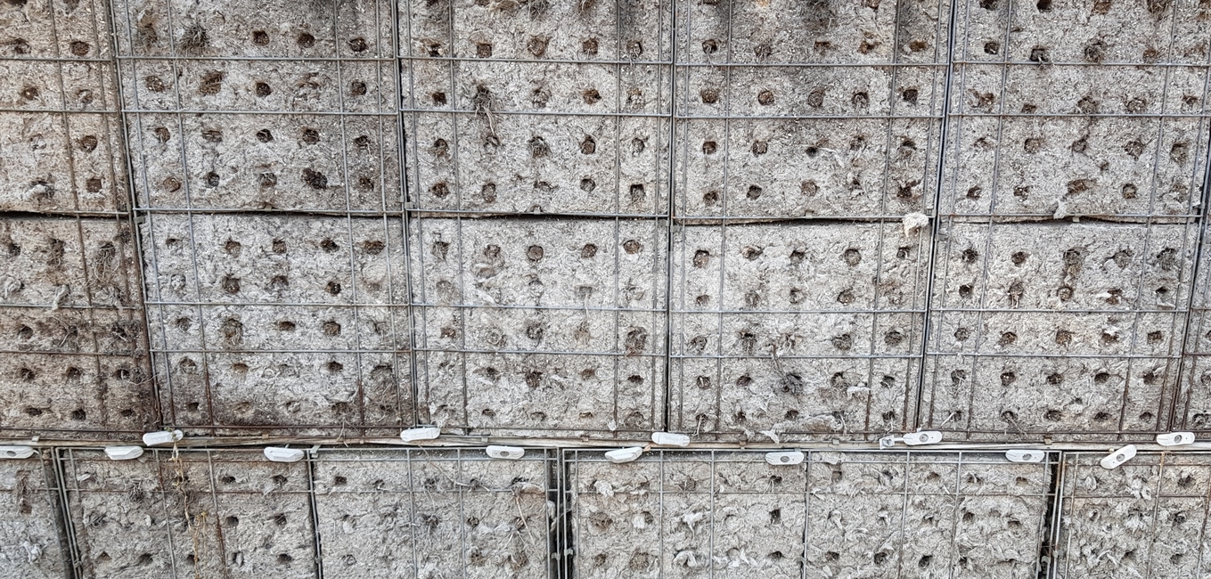 concrete,cement,rebar,construction,brick,wall,building