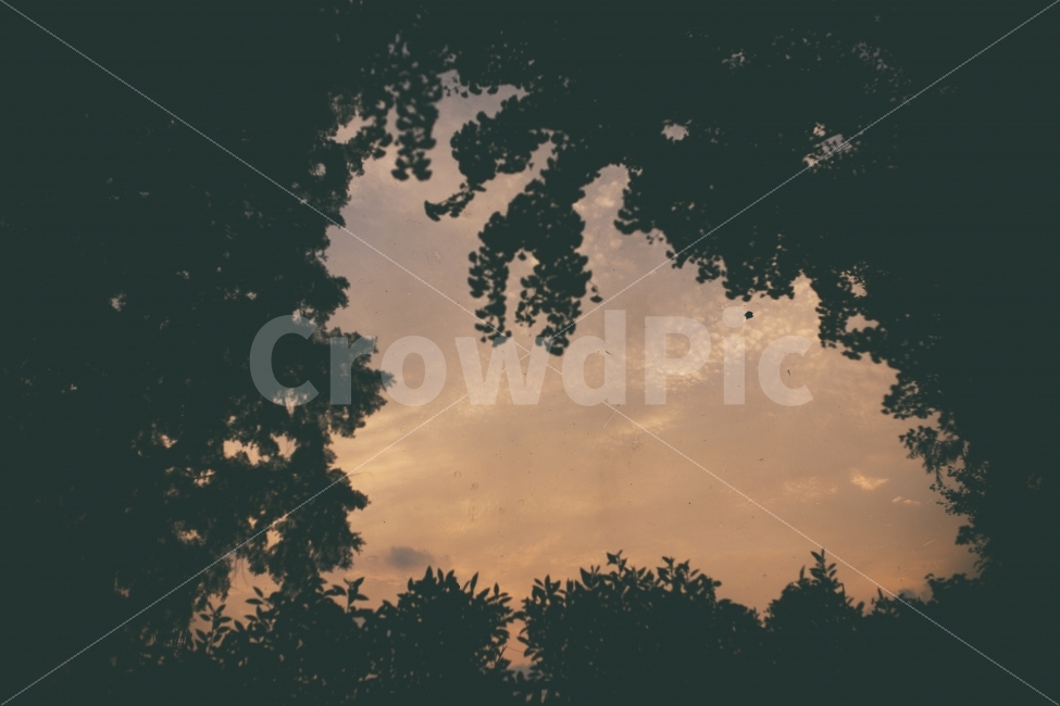 부산,아날로그,필름,스냅,풍경,일몰,역광,자연,풍경,nature,landscape,감성,sensible,feeling