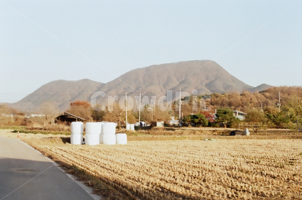 밭,논,시골,nature,자연,outdoors,옥외,시골,마을,풍경,landscape,country,rural,town