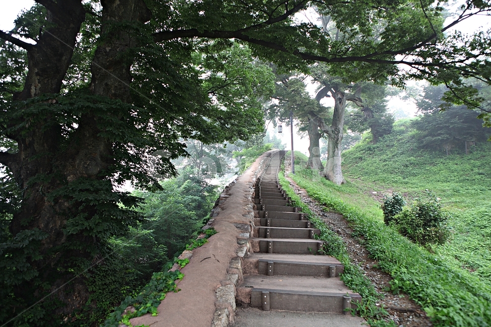 공주산성,성,성곽,산성,길,둘레길,숲,숲길,안개,돌담,담,여름,풍경,벽,방어벽,나무,식물,유네스코등제