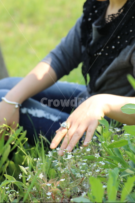 봄맞이꽃,손,햇살,봄,힐링,산책,봄,계절,spring,season,식물,자연,plants,nature,꽃,flower,사람,인물,인간,human,person,여성,여자,woman,female,lady,휴식,힐링,rest,relaxation,healing