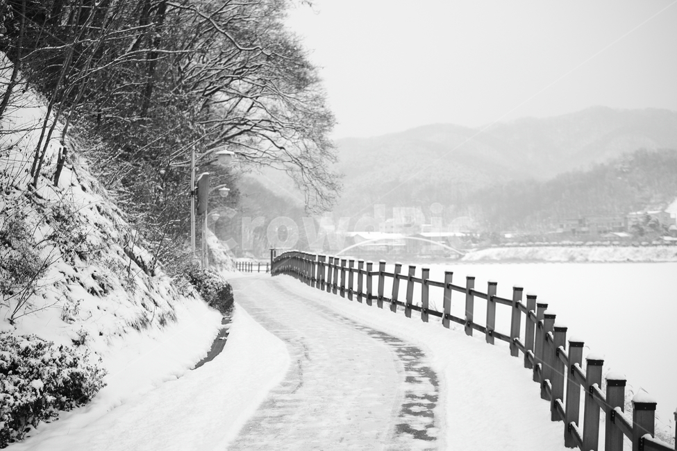 눈,폭설,길,road,street,흑백,nature,자연,옥외,풍경,겨울,앙상한,outdoors,겨울,계절,winter,season,자연,풍경,nature,landscape