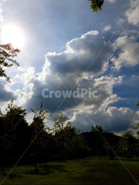 구름,회색,빛,해,풍경,여름,나무,자연,풍경,nature,landscape,flare,플레어,light,outdoors,옥외,weather,날씨,sunlight,햇빛