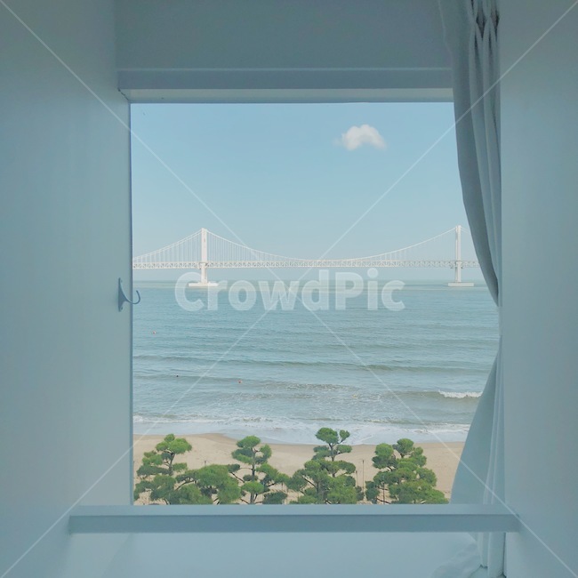 광안리,광안리앞,광안리해수욕장,바다,여름,구름,창문,깨끗,풍경,나무,화이트,하얀,광안대교