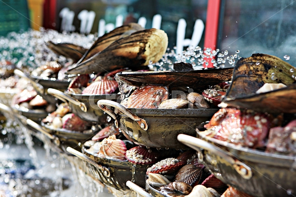 조개,조개살,조개껍데기,식자재,음식,요리,시장,마트,마켓,market,mart,market place,음식,식재료,요리,food,cook,meal,dishes,food reserves,수산물,해산물,fishery products,seafood