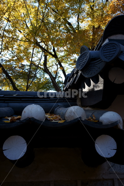 가을,궁궐,낙엽,기와,전통,단풍,koreatraditional,koreapalace,autumn,koreaautumn,autumnleaves,nature,colorful