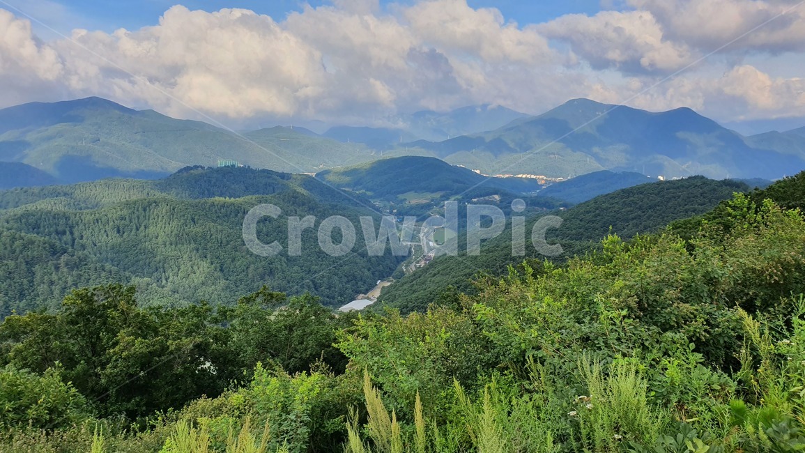 강원도,육백산,산,자연,경치,gangwondo,mountain,nature,landscape