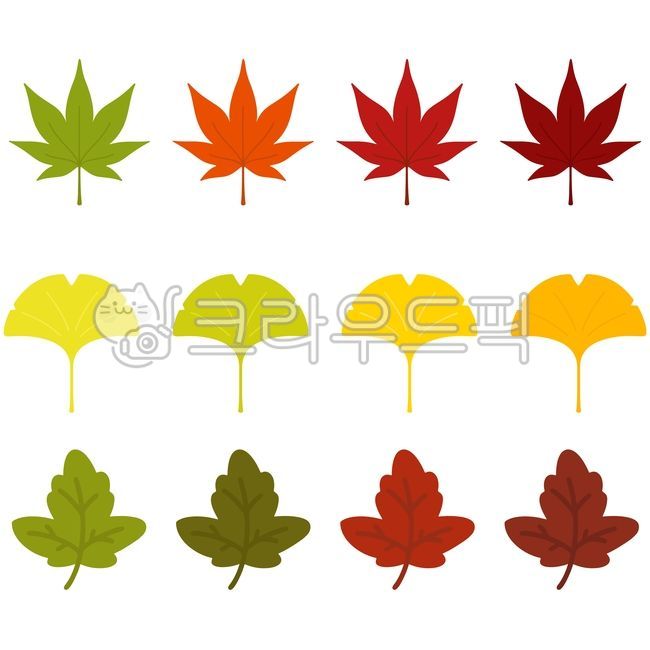 Ginkgo,tree,fallen leaves,fallen leaves illustration,ginkgo leaf illustration,ginkgo,autumn,ginkgo tree,remove,ginkgo leaf,maple leaf,maple,fall colors,leaves,autumn foliage,leaves,illustration,autumn,autumn leaves,dead leaves,fall,il