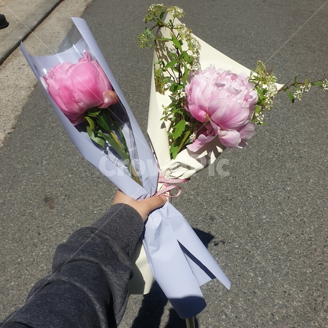 꽃,blossom,flowerbouquet,꽃꽂이,flower,식물,plant,인간,human,person,꽃,flower
