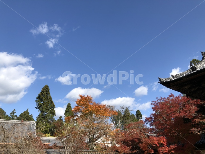 건물,건축물,architecture,building,자연,하늘,가을,계절,fall,autumn,season