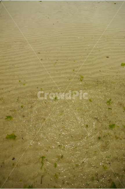 바다,물결,모래사장,nature,자연,빛,자연,풍경,nature,landscape
