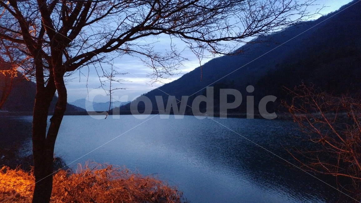 완주,소양,오스갤러리,오성제,저수지,picture,view,G5,겨울,풍경,나들이,여행,겨울,계절,winter,season,자연,풍경,nature,landscape,한국자연풍경,한국자연경관,korea nature landscape,식물,plants,나무,trees,wood,water,물,outdoors,옥외