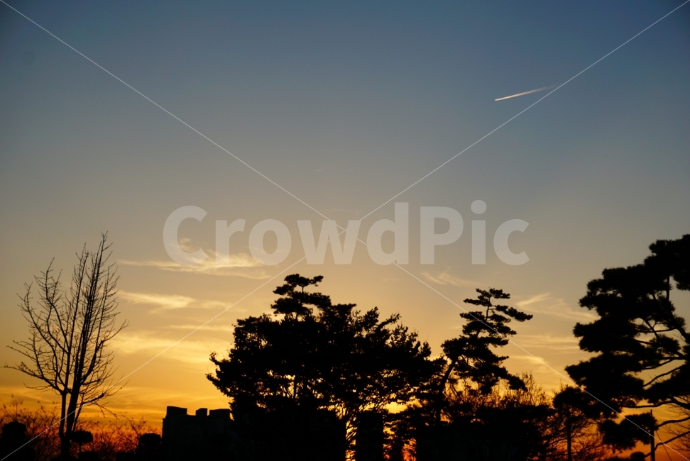 노을,비행기,저녁,소니,학교,자연,풍경,nature,landscape,outdoors,옥외,silhouette,실루엣,sky,하늘,sunlight,햇빛