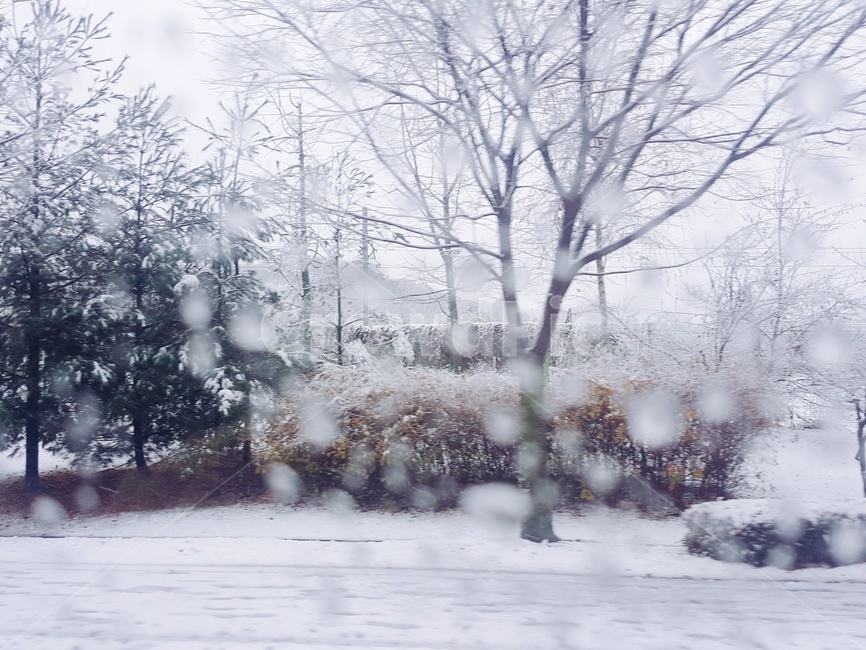 겨울,눈,풍경,계절,나무,겨울,계절,winter,season,자연,풍경,nature,landscape,outdoors,옥외,snow,blizzard,눈보라,storm,폭풍