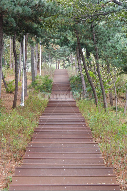 자연,풍경,landscape,nature,휴식,rest,계단,산책,등산,나무,숲길,나무숲길