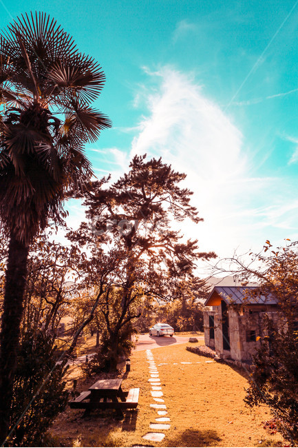 하늘,나무,빛,자연,풍경,가을,계절,fall,autumn,season,시골,마을,풍경,landscape,country,rural,town,road,도로,asphalt,아스팔트