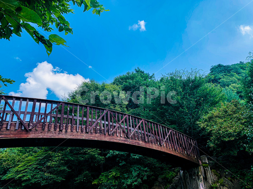 bridge,다리,하늘,sky,자연,nature,나무,구름,하늘색