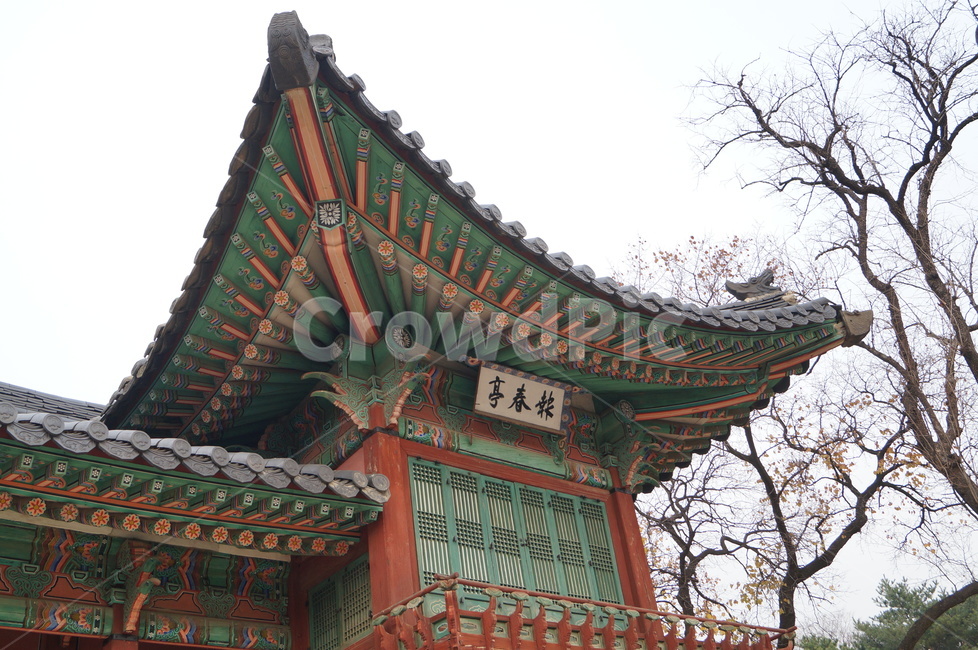 창덕궁,한국,전통,korea,palace,궁전,전통양식,한옥,조선,한국전통,한국문화,korean traditional,korean culture,랜드마크,landmark,tourist attraction,한국랜드마크,한국관광지,한국명소,korea landmark,korea tourist attraction,건축물,건물외관,exterior,building,structure,architecture,construction