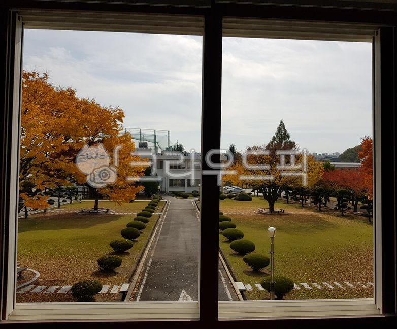 가을,창문너머가을,창가,11월가을,가을절정