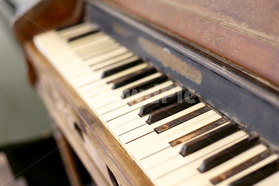 오르간,피아노,악기,건반,빈티지,감성,따듯함,음향,음향기기,오래된,골동품,레트로,흰건반,검은건반,원목,나무,페달,빈티지사진,빈티지느낌,빈티지감성,vintage,악기,음향기기,musical instrument,musical equipment