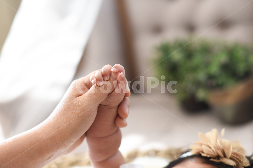아기,신생아,손잡음,엄마와아기,아기손,아가손,사랑,사람,인물,인간,신체일부,몸,가족,영유아,애기,아이,손,human,person,heel,사람,인물,인간,human,person,가족,패밀리,family,영유아,아기,애기,아이,infants,baby