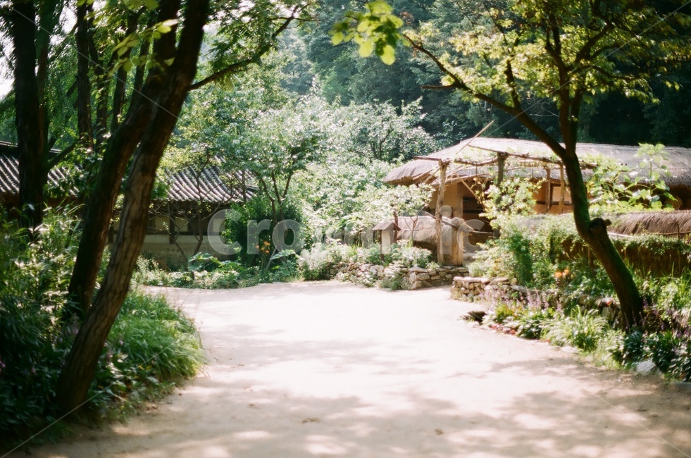 한국민속촌,한옥,한옥마을,outdoors,옥외,garden,정원,정자,arbour