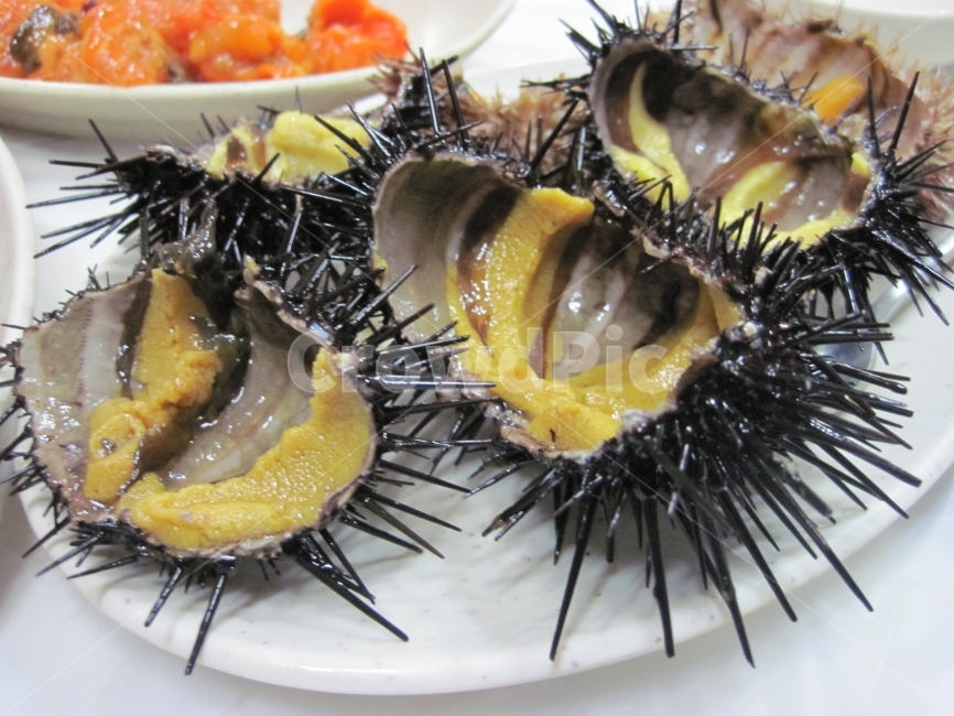 성게,횟집,술안주,한식,해산물,음식,식재료,요리,food,cook,meal,dishes,food reserves,수산물,해산물,fishery products,seafood