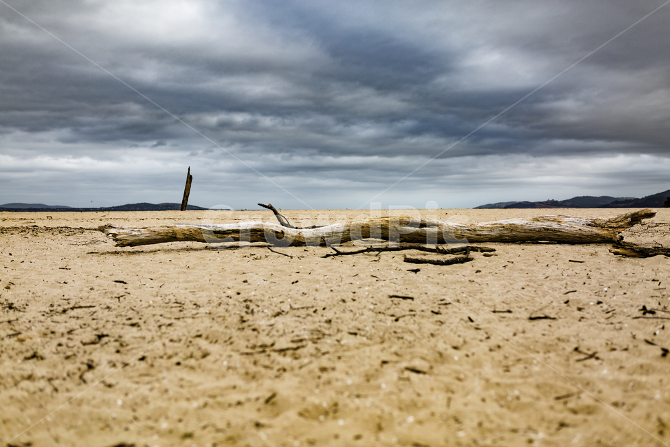 호주,australia,타즈매니아,tasmania,길,하늘,그늘,sky,road,tree,바다,see,물,흐림,흐린날,구름낀,죽은나무,쓰러진나무,해변가,모래,바닷가,자연,풍경,nature,landscape,ground,바닥,wood,나무,soil,흙
