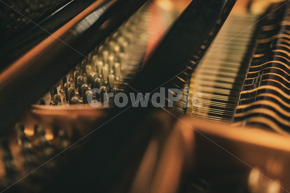 musicalinstrument,악기,음악,피아노,그랜드피아노,악기,음향기기,musical instrument,musical equipment