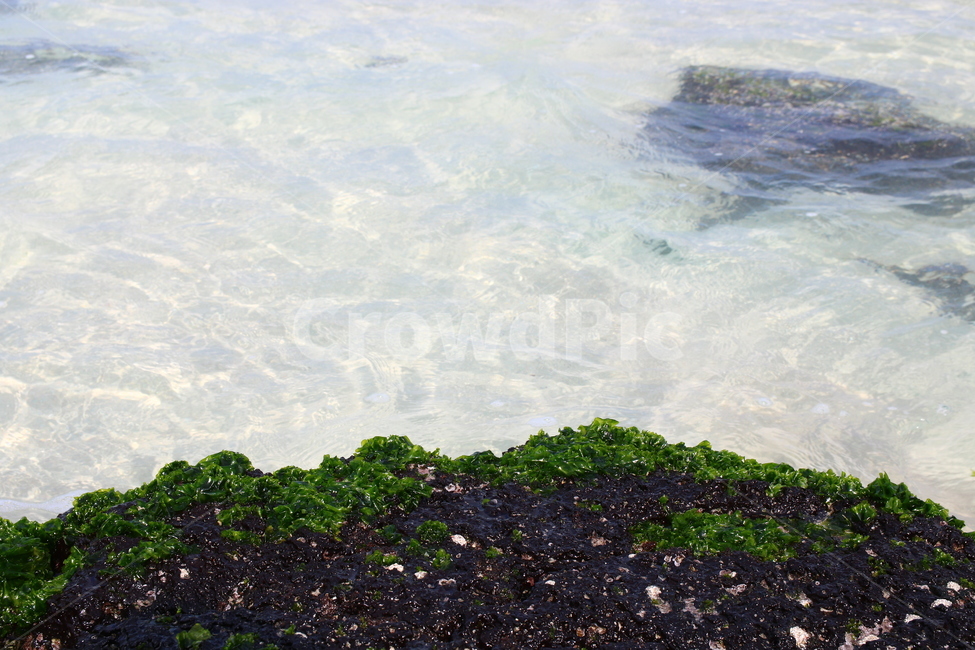nature,자연,outdoors,옥외,바다,sea,물,청량함,바닷물