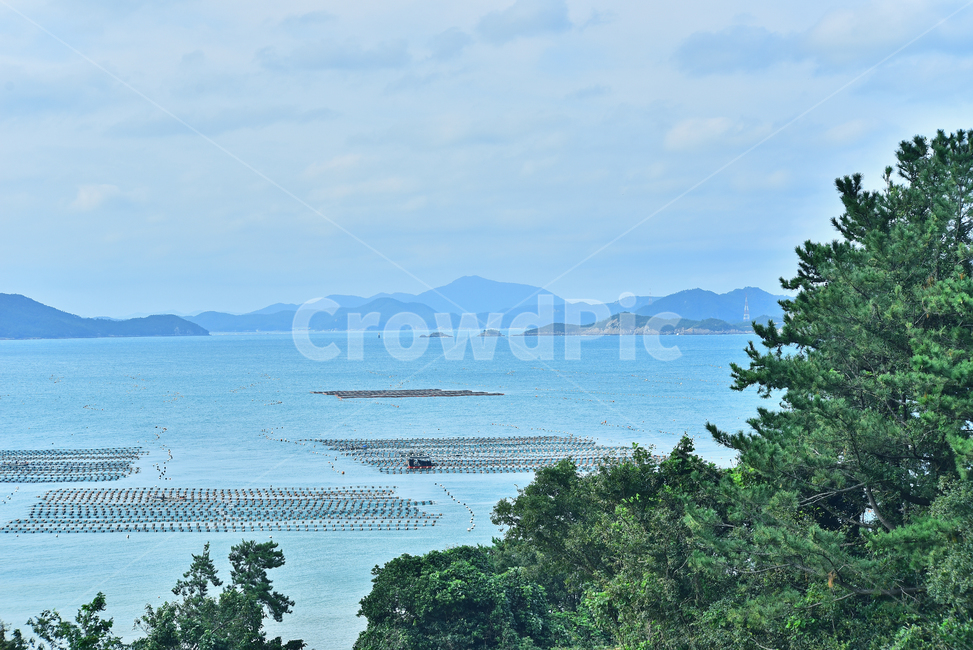 바닷가,섬,다도해,남해안,해안가,숲,자연,nature,island,어장,양식장,forest,풍경,beach,coast,theseaside,힐링,healing,배경,바탕,백그라운드,background,전망,theseashore,한국자연경관,해상국립공원,자연,풍경,nature,landscape,한국자연풍경,한국자연경관,korea nature landscape,outdoors,옥외,land,땅,promontory,곶,ocean,대양,sea,바다,water,물
