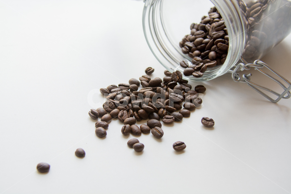 커피,원두,카페,생두,누끼,음료,음식,원두커피,원두콩,커피,카페,coffee,cafe,연출,컨셉,콘셉,direction,concept
