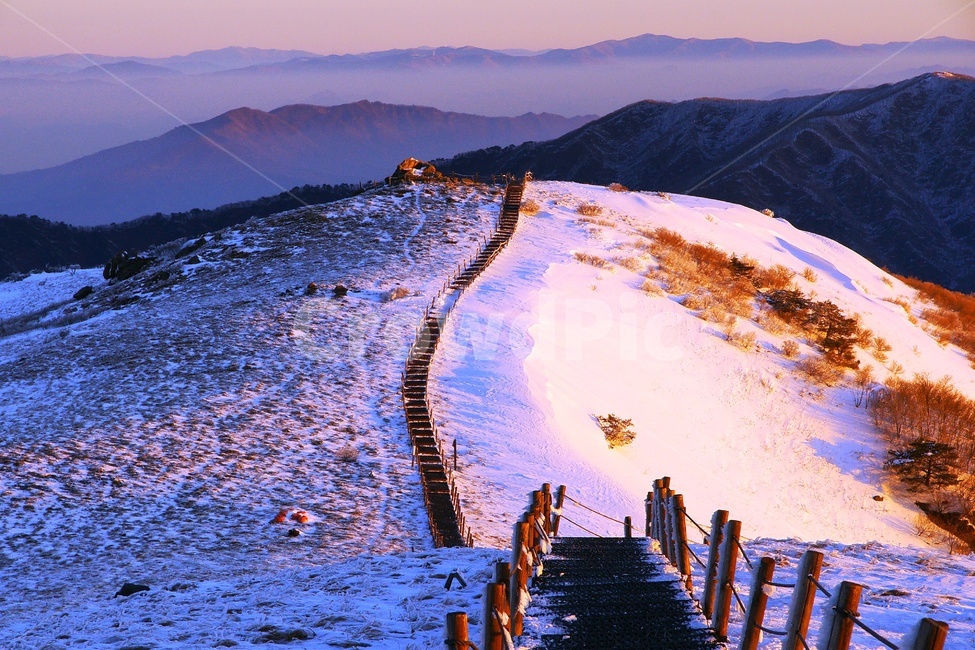 소백산,설경,겨울,풍경,일출,겨울,계절,winter,season,자연,풍경,nature,landscape,water,물