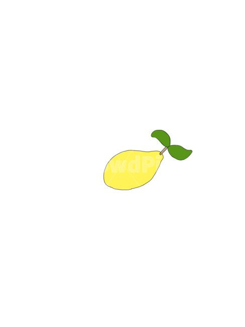 망고,망고일러스트,망고손그림,과일,fruit
