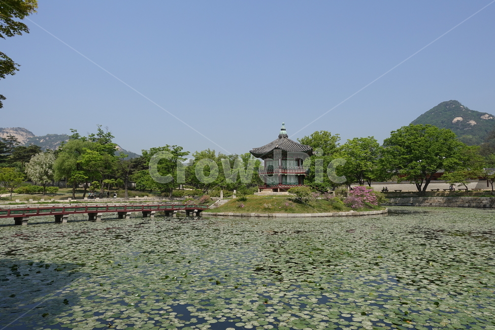 경복궁,한옥,한국,풍경,연못,궁,한국궁
