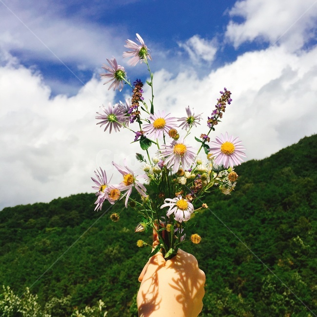 꽃,가을,하늘,가을하늘,가을꽃,식물,자연,plants,nature,꽃,flower