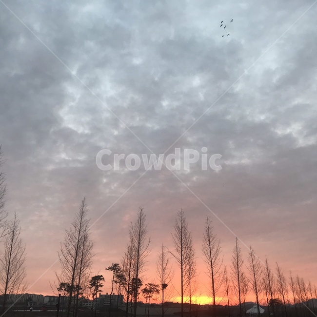 하늘,자연,sky,노을,새해