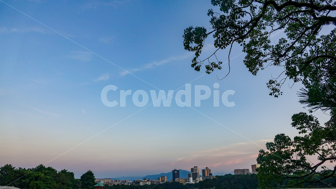 오호리공원,후쿠오카,공원,노을,일몰,풍경,핑크빛노을,호수,park,오호리코엔,fukuoka,감성,자연,나무,다리,nature
