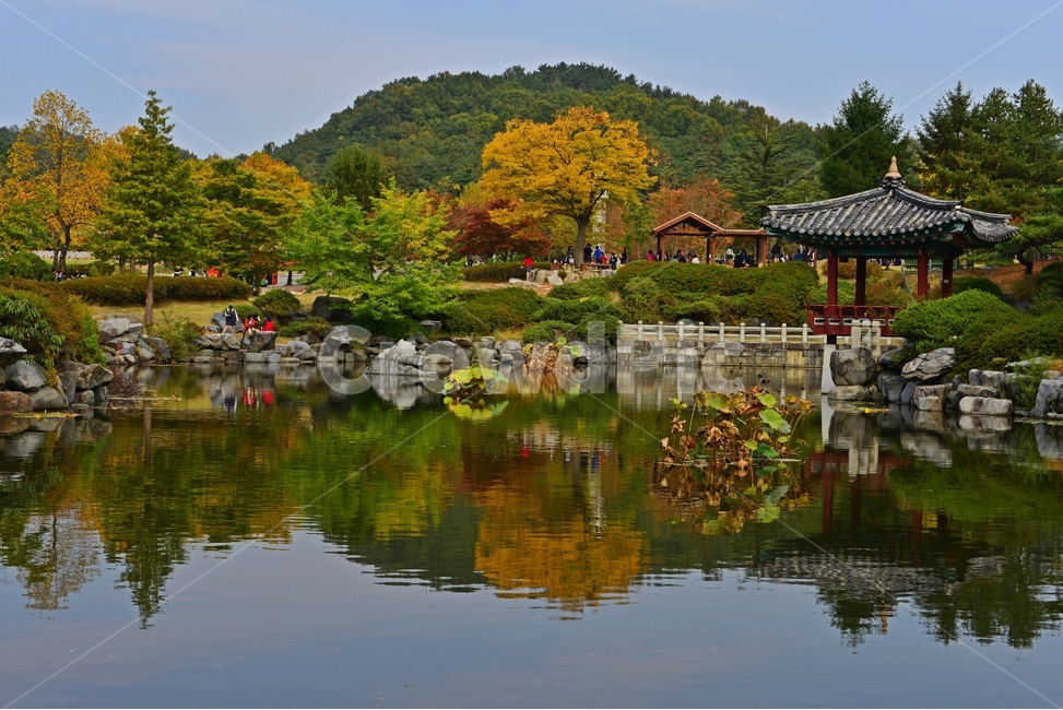 충남,대전,현충원,국립현충원,연못,가을,반영,추색,정자,nature,자연,water,물,outdoors,옥외,가을,계절,fall,autumn,season,자연,풍경,nature,landscape,한국자연풍경,한국자연경관,korea nature landscape