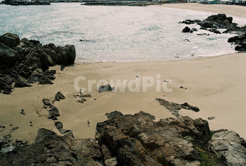 필름,필름카메라,아날로그,analog,filmcamera,film,감성,감성사진,바다,해변,모래,풍경,landscape,해변,바다,beach,sea
