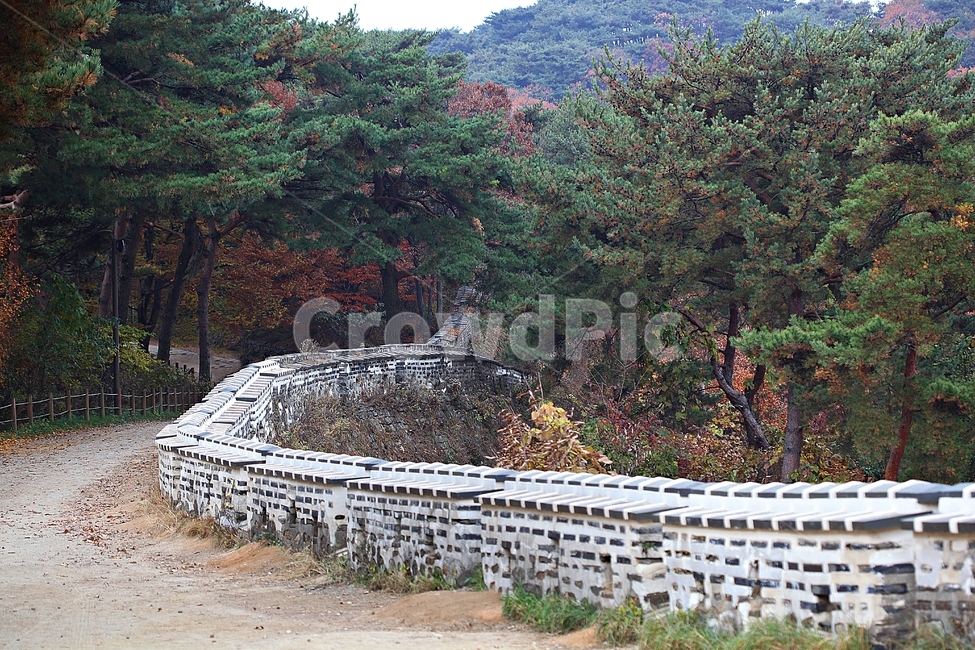 남한산성,성,성곽,단풍,낙엽,길,둘레길,숲,숲길,담,돌담,가을,자연,풍경,벽,울긋불긋,산성,식물,가을,계절,fall,autumn,season