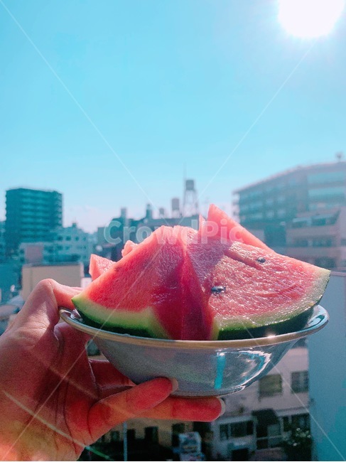 수박,여름,도시,과일,햇빛