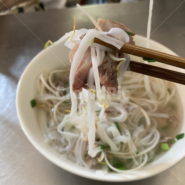 쌀국수,베트남,음식,먹을거리,국수,다낭,음식,식재료,요리,food,cook,meal,dishes,food reserves,면류,면요리,noodles