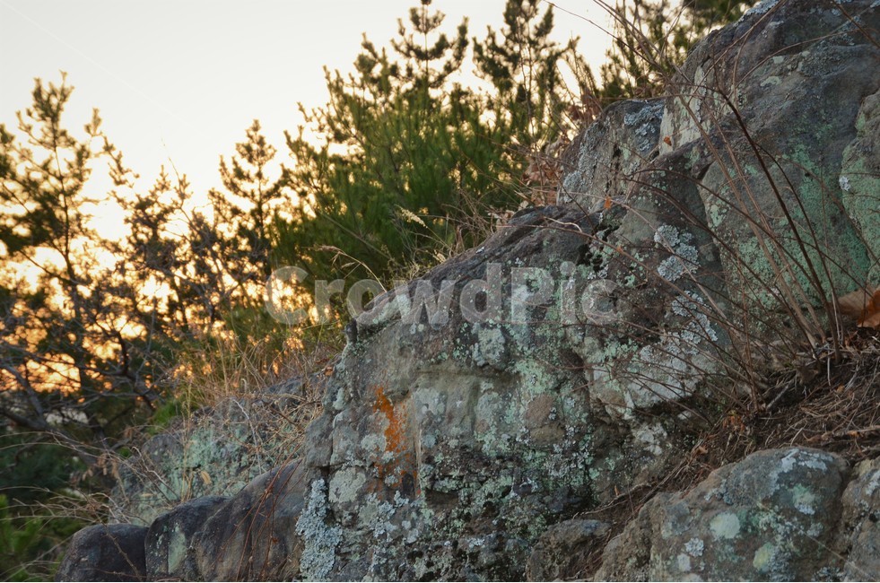 봄,경주,금장대,암각,노을,자연,풍경,nature,landscape,rock,록